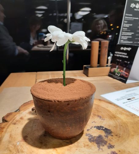 Mille sono i ristoranti a Kiev - 400 dichiarano cucina italiana